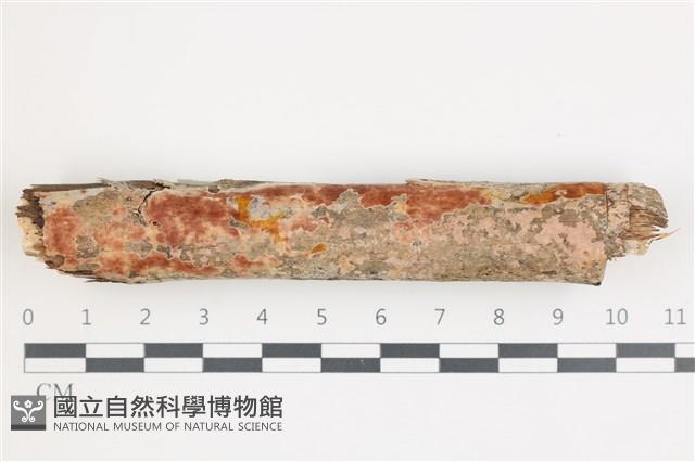 登錄號:F0035839藏品圖，第1張
