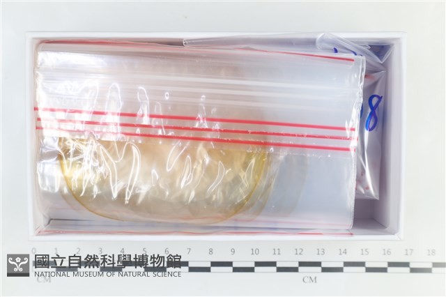 登錄號:F0038639藏品圖，第1張