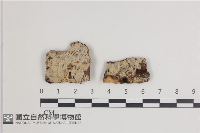 登錄號:F0035739藏品圖，第1張