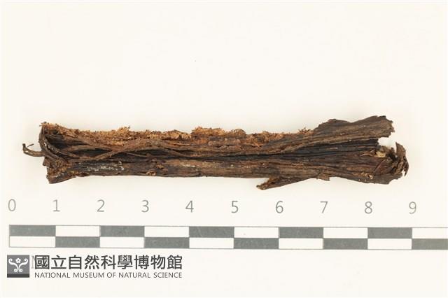 館號:F0038139藏品圖，第1張