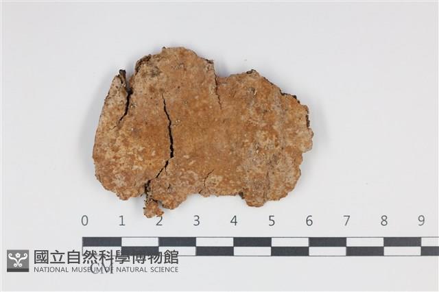 登錄號:F0035339藏品圖，第1張