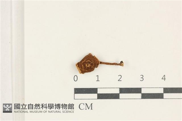 登錄號:F0038223藏品圖，第1張