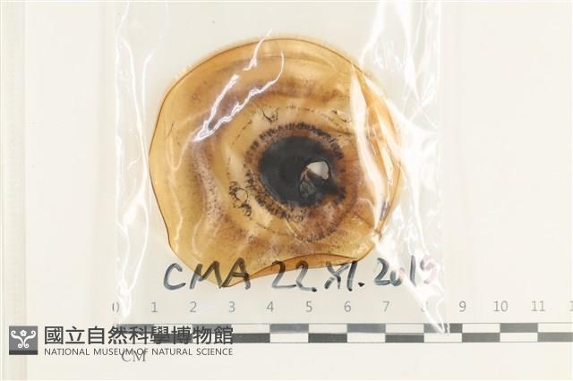Accession Number:F0038423 Collection Image, Figure 1, Total 2 Figures