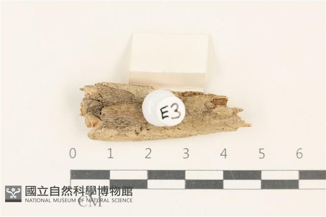 登錄號:F0037723藏品圖，第1張