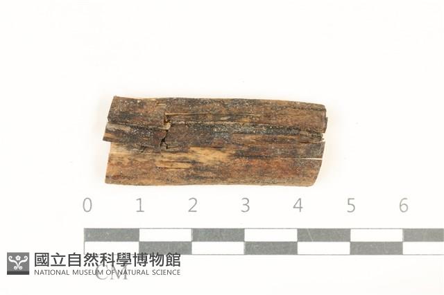 登錄號:F0038123藏品圖，第1張