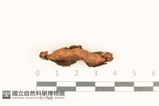 登錄號:F0019023藏品圖，第1張