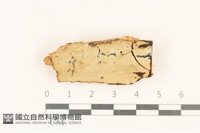 登錄號:F0017803藏品圖，第1張