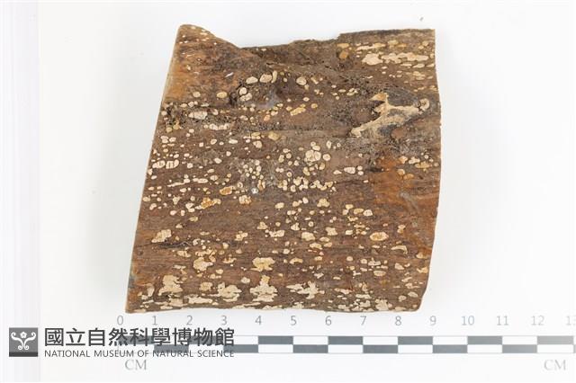 登錄號:F0035903藏品圖，第1張