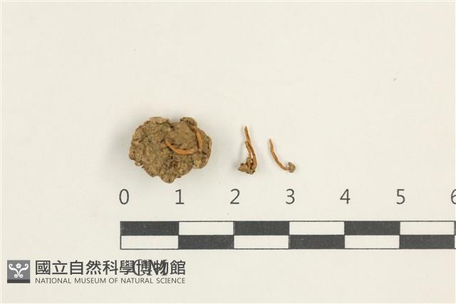 登錄號:F0038403藏品圖，第1張