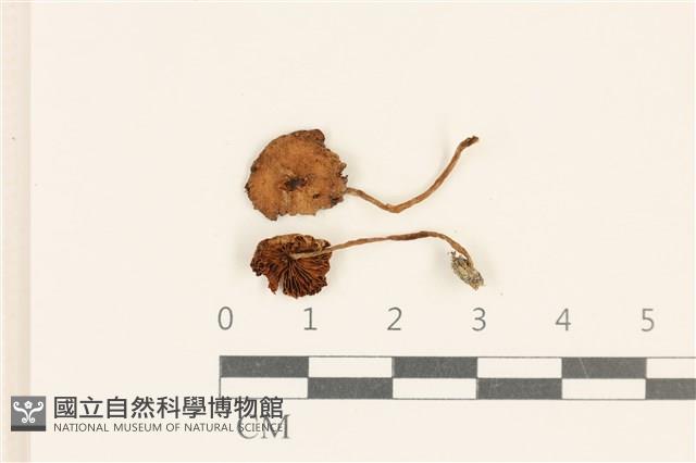 登錄號:F0037003藏品圖，第1張