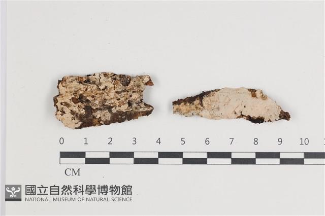 登錄號:F0035613藏品圖，第1張