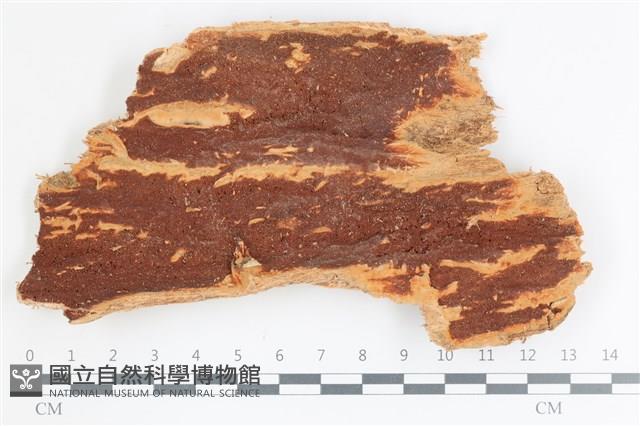登錄號:F0036713藏品圖，第1張