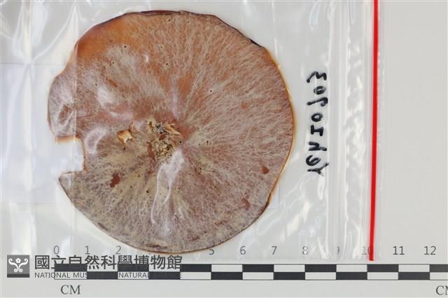 登錄號:F0035113藏品圖，第1張