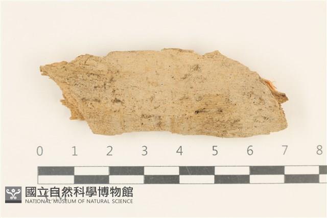 登錄號:F0017853藏品圖，第1張