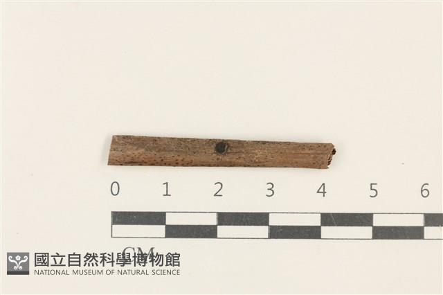登錄號:F0037943藏品圖，第1張