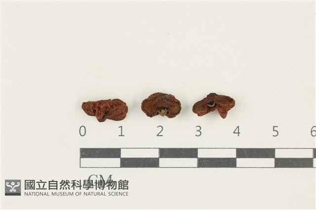 登錄號:F0038143藏品圖，第1張