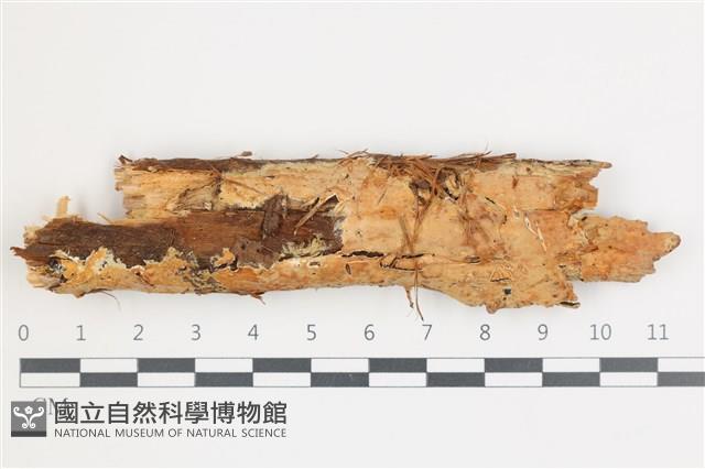 登錄號:F0035993藏品圖，第1張