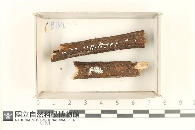 登錄號:F0018193藏品圖，第1張