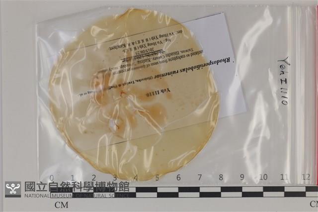 登錄號:F0035193藏品圖，第1張