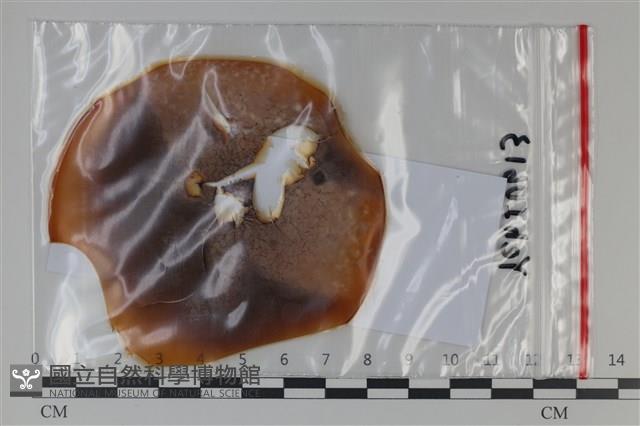 登錄號:F0035093藏品圖，第1張