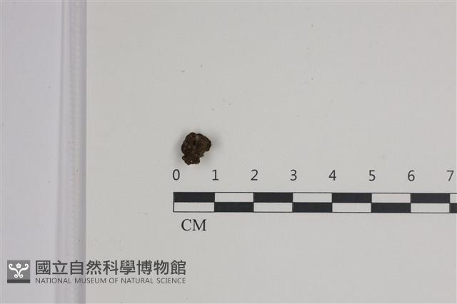 登錄號:F0035483藏品圖，第1張