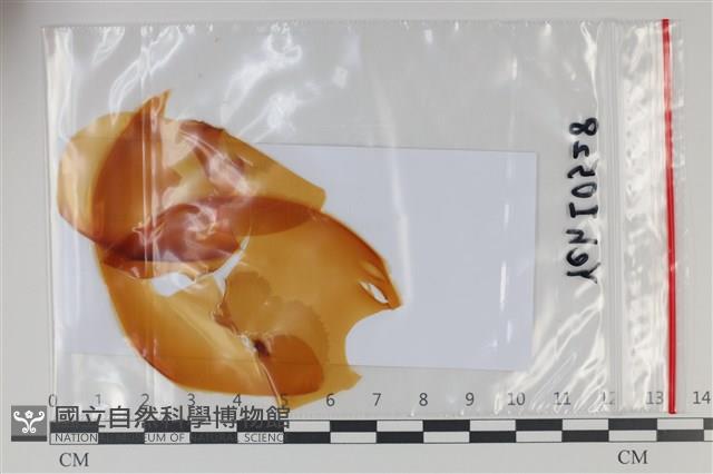 登錄號:F0035083藏品圖，第1張