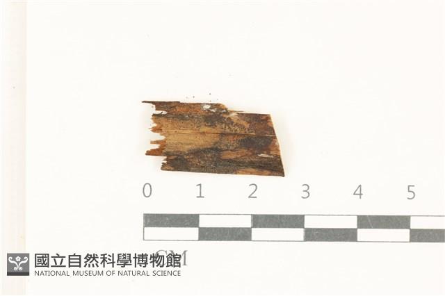 登錄號:F0038133藏品圖，第1張