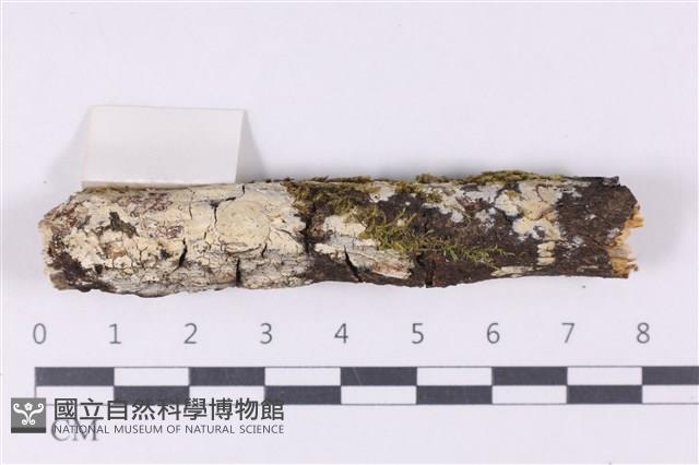 登錄號:F0030133藏品圖，第1張