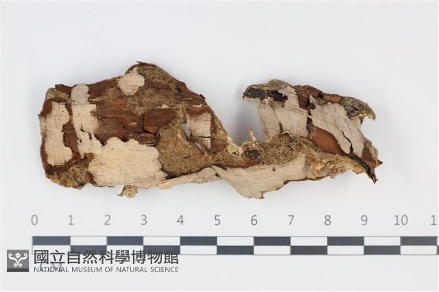 登錄號:F0035333藏品圖，第1張