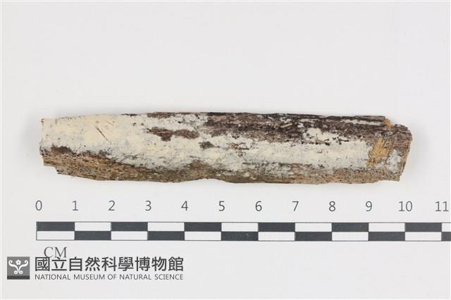 登錄號:F0035973藏品圖，第1張