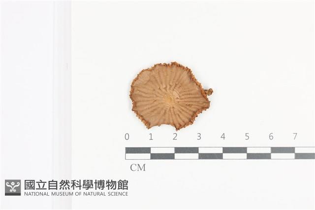 Accession Number:F0036173 Collection Image, Figure 1, Total 3 Figures