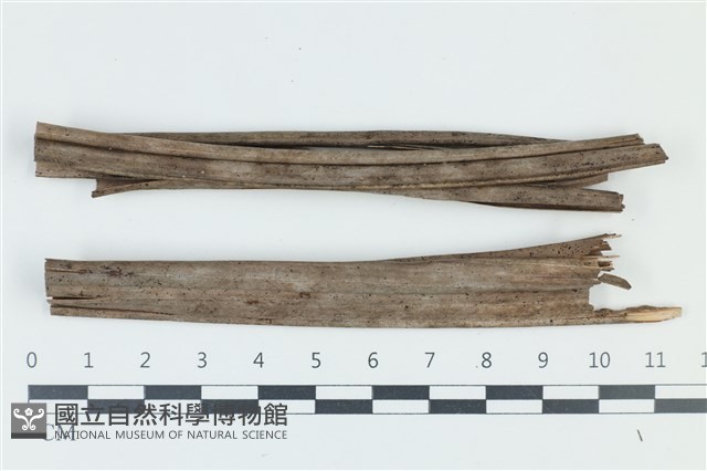 登錄號:F0039173藏品圖，第1張