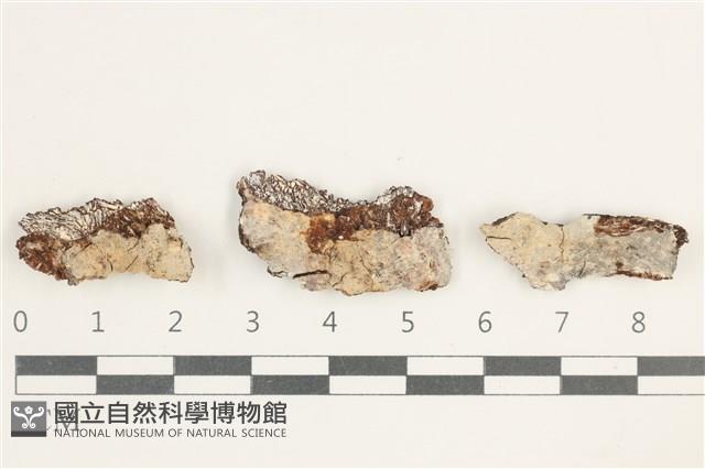 登錄號:F0038373藏品圖，第1張