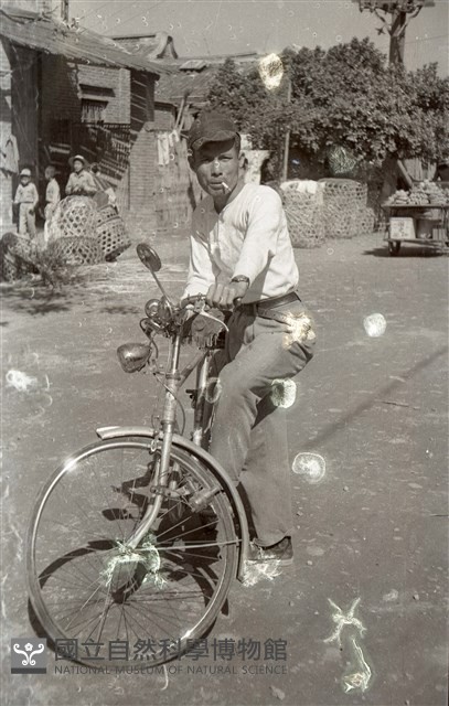 1950至2006年臺灣常民生活藏品圖，第1張