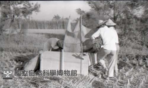 1950至2006年臺灣常民生活藏品圖，第1張