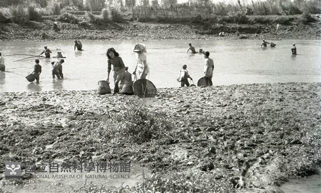 1950至2006年臺灣常民生活藏品圖，第1張