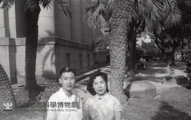 1950至2006年臺灣常民生活藏品圖，第1張