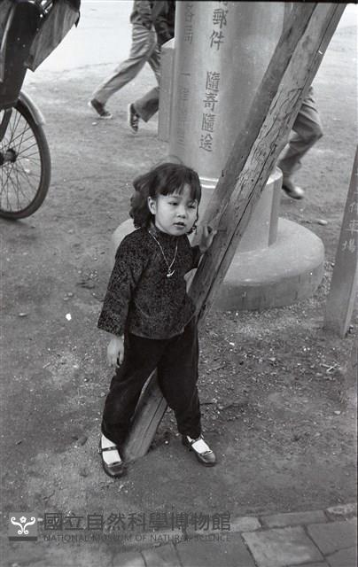1950至2006年臺灣常民生活藏品圖，第1張