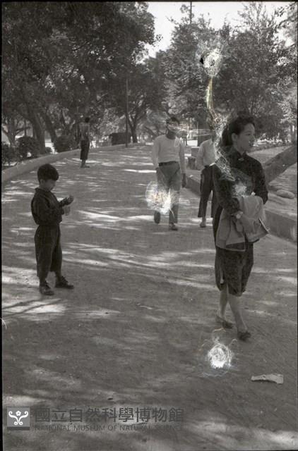 1950至2006年臺灣常民生活藏品圖，第1張
