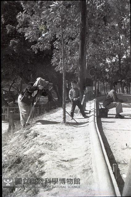 1950至2006年臺灣常民生活藏品圖，第1張