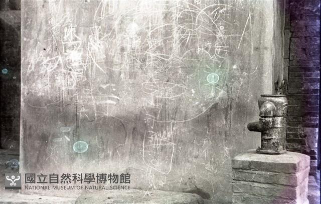 1950至2006年臺灣常民生活藏品圖，第1張