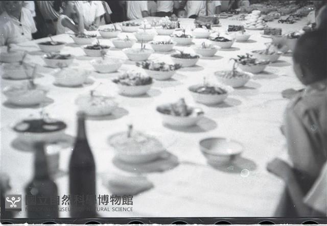 1950至2006年臺灣常民生活藏品圖，第1張