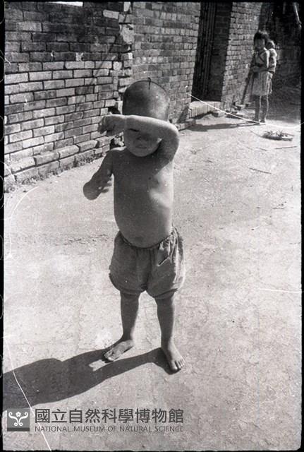 1950至2006年臺灣常民生活藏品圖，第1張