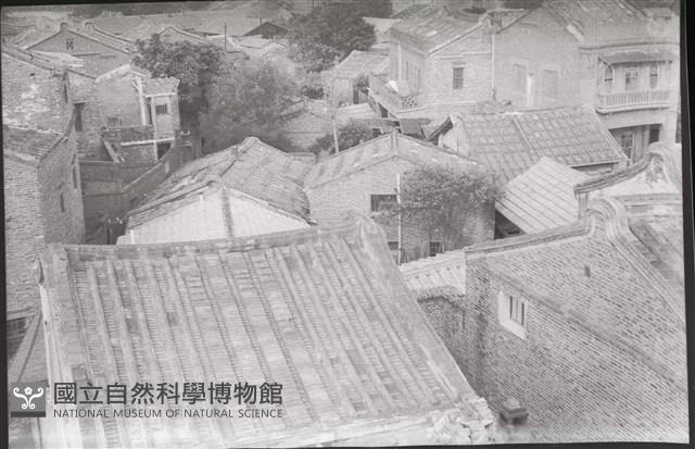 1950至2006年臺灣常民生活藏品圖，第1張