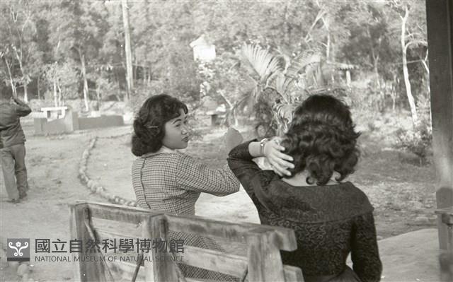 1950至2006年臺灣常民生活藏品圖，第1張