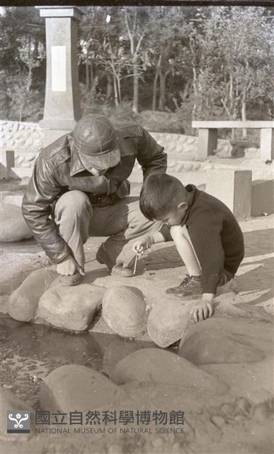 1950至2006年臺灣常民生活藏品圖，第1張