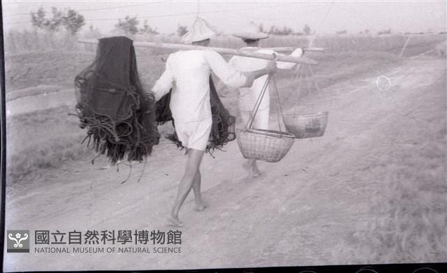 1950至2006年臺灣常民生活藏品圖，第1張