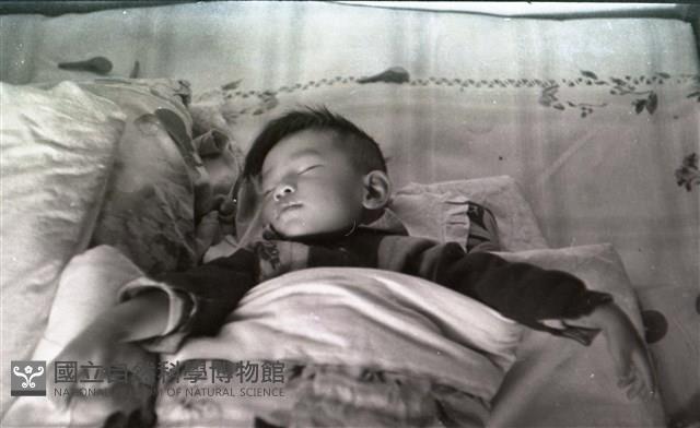 1950至2006年臺灣常民生活藏品圖，第1張