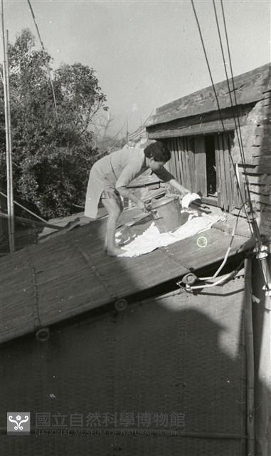 1950至2006年臺灣常民生活藏品圖，第1張