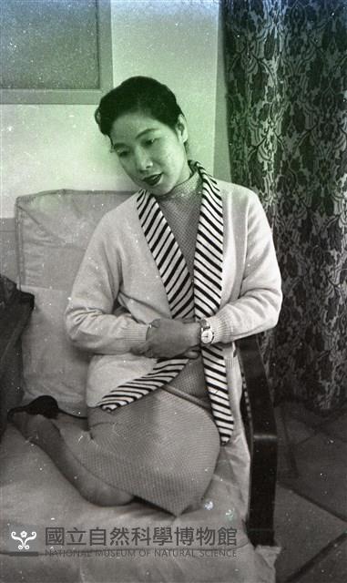 1950至2006年臺灣常民生活藏品圖，第1張